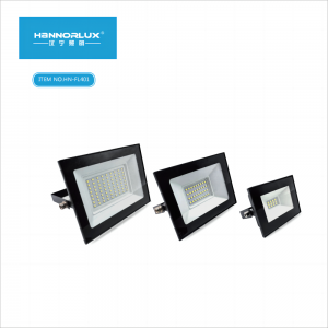 LED FLOOD LIGHT HN-FL401